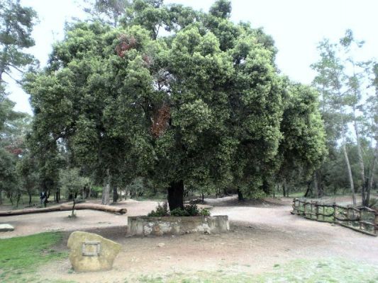 Premi aqui per a veure la imatge a grand�ria completa