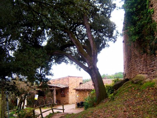 Premi aqui per a veure la imatge a grand�ria completa