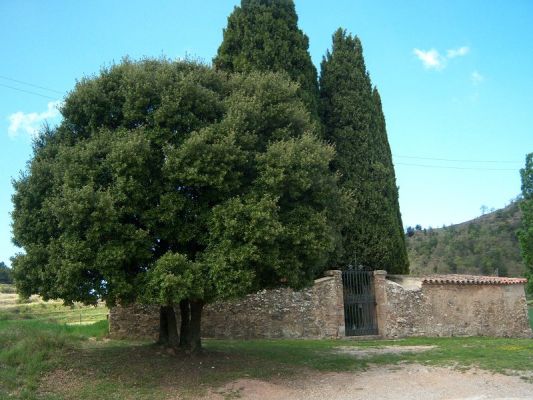 Premi aqui per a veure la imatge a grand�ria completa