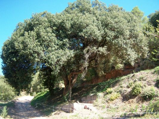 Premi aqui per a veure la imatge a grand�ria completa