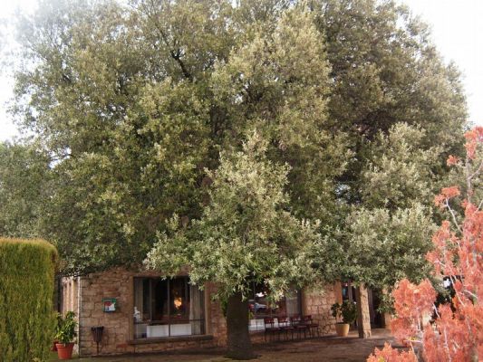 Premi aqui per a veure la imatge a grand�ria completa