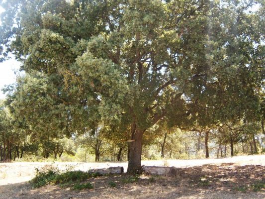 Premi aqui per a veure la imatge a grand�ria completa