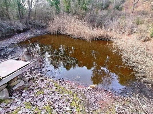 Premi aqui per a veure la imatge a grand�ria completa