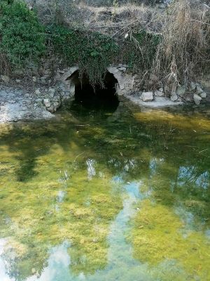 Premi aqui per a veure la imatge a grand�ria completa