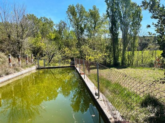 Premi aqui per a veure la imatge a grand�ria completa