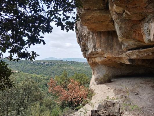 Premi aqui per a veure la imatge a grand�ria completa