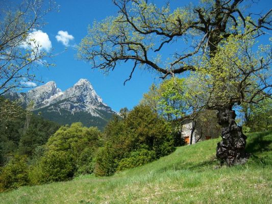 Premi aqui per a veure la imatge a grand�ria completa