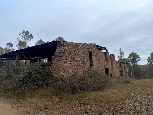 Premi aqui per a veure la imatge a grand�ria completa