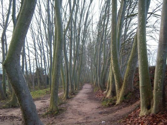 Premi aqui per a veure la imatge a grand�ria completa