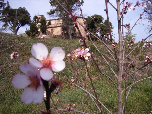 Premi aqui per a veure la imatge a grand�ria completa