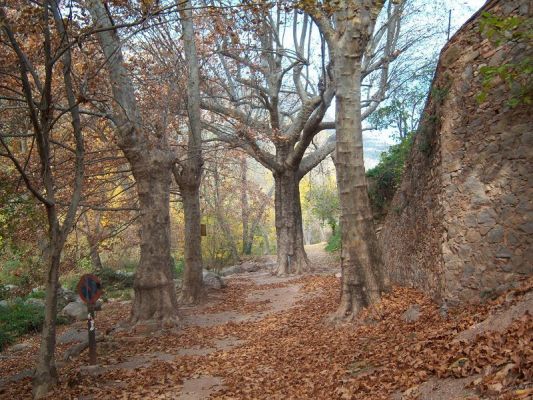 Premi aqui per a veure la imatge a grand�ria completa