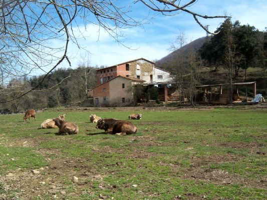 Premi aqui per a veure la imatge a grand�ria completa