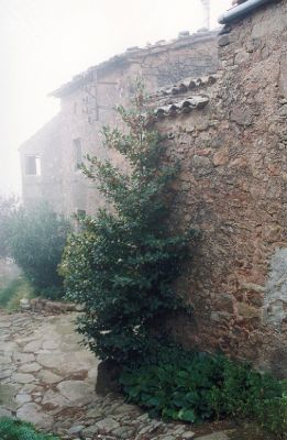 Premi aqui per a veure la imatge a grand�ria completa