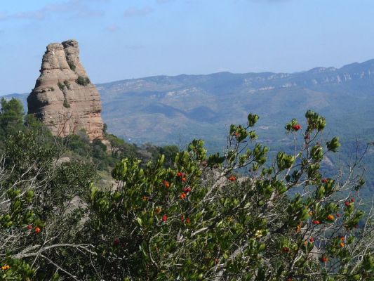 Premi aqui per a veure la imatge a grand�ria completa