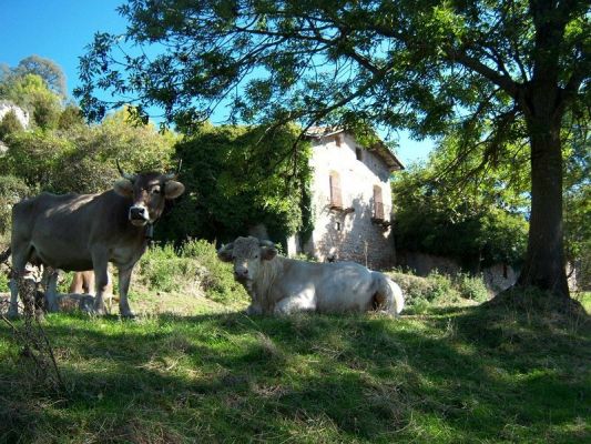 Premi aqui per a veure la imatge a grand�ria completa