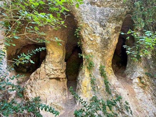 Premi aqui per a veure la imatge a grand�ria completa