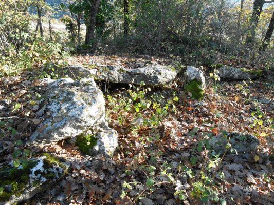 Premi aqui per a veure la imatge a grand�ria completa