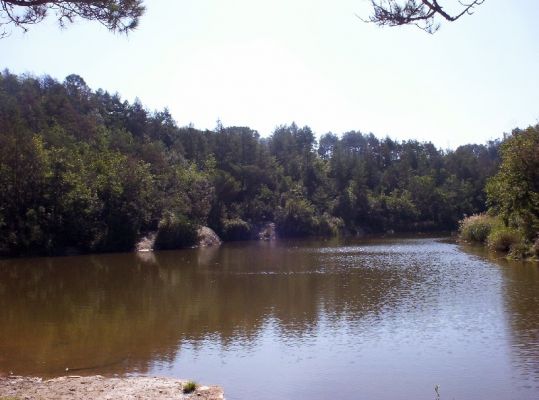 Premi aqui per a veure la imatge a grand�ria completa