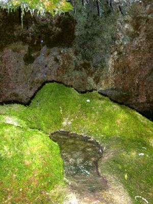 Premi aqui per a veure la imatge a grand�ria completa