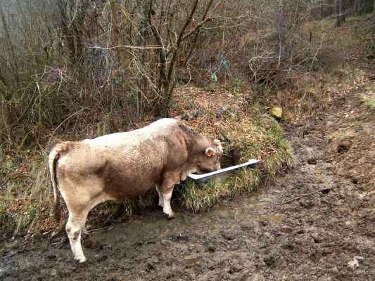 Premi aqui per a veure la imatge a grand�ria completa