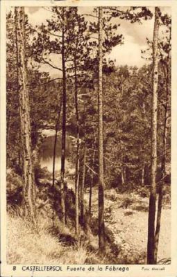 Premi aqui per a veure la imatge a grand�ria completa