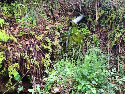 Premi aqui per a veure la imatge a grand�ria completa