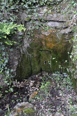 Premi aqui per a veure la imatge a grand�ria completa