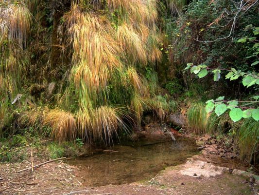 Premi aqui per a veure la imatge a grand�ria completa