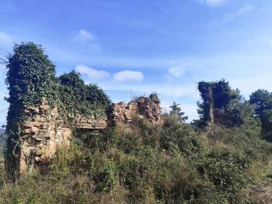 Premi aqui per a veure la imatge a grand�ria completa