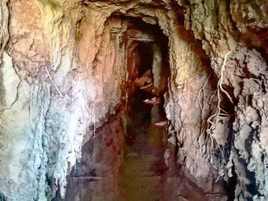 Premi aqui per a veure la imatge a grand�ria completa