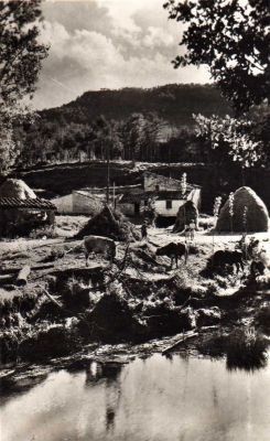 Premi aqui per a veure la imatge a grand�ria completa