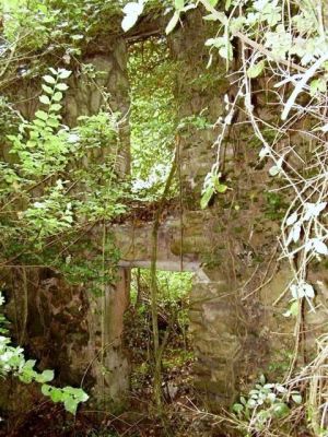 Premi aqui per a veure la imatge a grand�ria completa