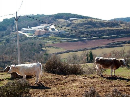 Premi aqui per a veure la imatge a grand�ria completa