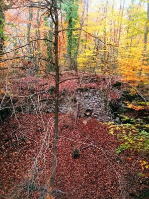 Premi aqui per a veure la imatge a grand�ria completa