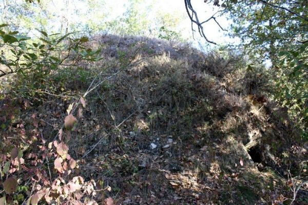 Premi aqui per a veure la imatge a grand�ria completa