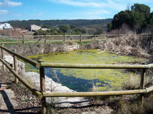 Premi aqui per a veure la imatge a grand�ria completa