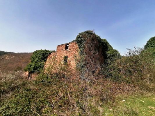 Premi aqui per a veure la imatge a grandària completa