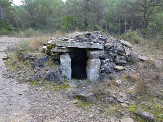 Premi aqui per a veure la imatge a grand�ria completa