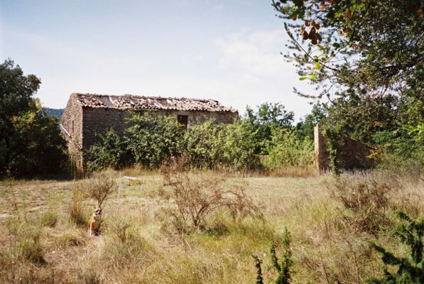 Premi aqui per a veure la imatge a grand�ria completa