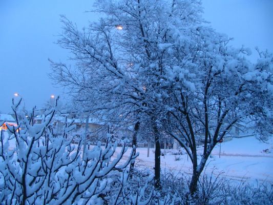 Premi aqui per a veure la imatge a grand�ria completa