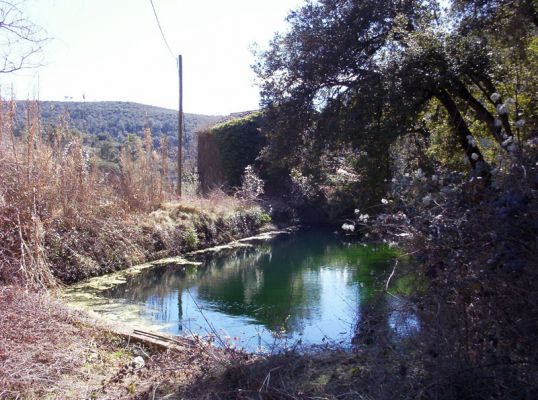 Premi aqui per a veure la imatge a grand�ria completa