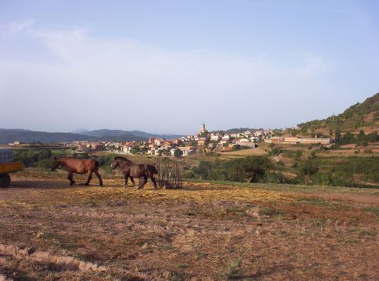 Premi aqui per a veure la imatge a grand�ria completa