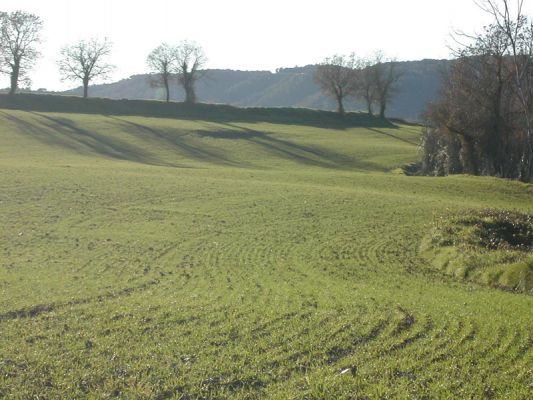 Premi aqui per a veure la imatge a grand�ria completa