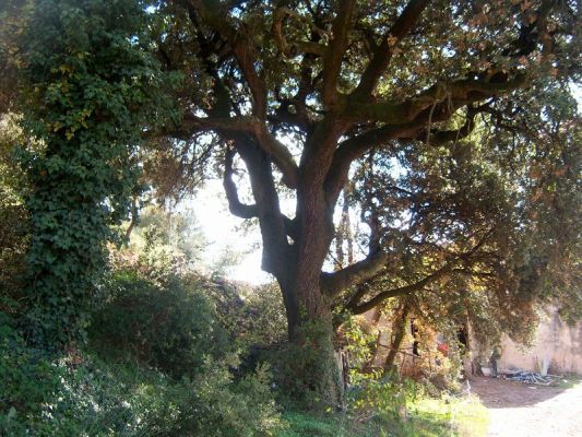 Premi aqui per a veure la imatge a grand�ria completa