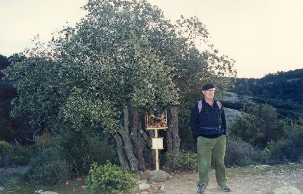 Premi aqui per a veure la imatge a grand�ria completa