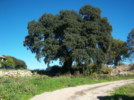 Premi aqui per a veure la imatge a grand�ria completa