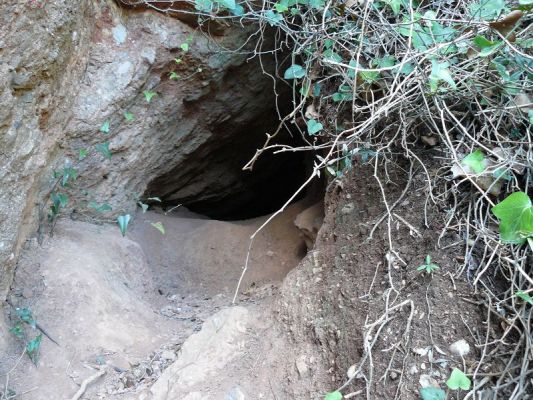 Premi aqui per a veure la imatge a grand�ria completa