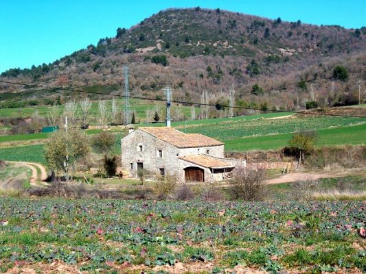 Premi aqui per a veure la imatge a grand�ria completa