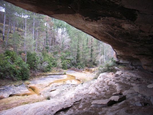 Premi aqui per a veure la imatge a grand�ria completa