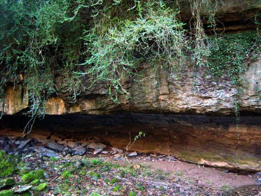 Premi aqui per a veure la imatge a grand�ria completa